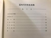 庄内川の水生生物