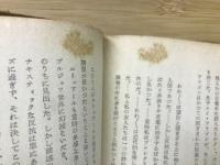 現代フランス文学　新しい動き
