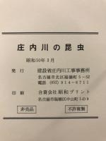 庄内川の昆虫