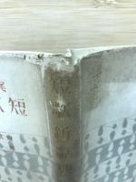 短歌新辞典