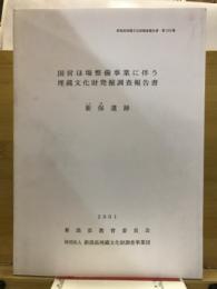 新保遺跡 : 国営ほ場整備事業に伴う埋蔵文化財発掘調査報告書