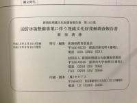 新保遺跡 : 国営ほ場整備事業に伴う埋蔵文化財発掘調査報告書