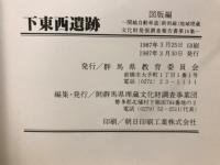 関越自動車道(新潟線)地域埋蔵文化財発掘調査報告書