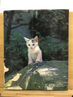 CATS in color かわいい日本猫  内山晟写真集