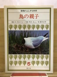 鳥の親子