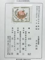 日本民族　（日本歴史新書）