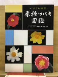 いのくち椿館原種ツバキ図鑑