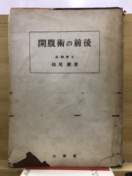 関越自動車道(上越線)地域埋蔵文化財発掘調査報告書(群馬県埋蔵