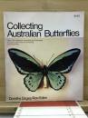 Collecting australian butterflies