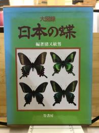大図録日本の蝶（特大原色図版欠）
