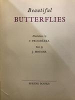 Beautiful butterflies