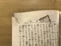 鳩翁道話