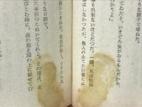 石中先生行状記