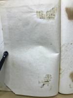 お才と巳之介
