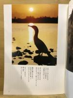 長良川の鵜飼