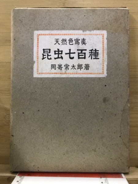 町内会 : 日本人の自治感覚(中川剛 著) / 古本、中古本、古書籍