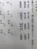 高等国文法概説