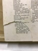 Lehrbuch der speziellen chirurgie　特殊外科教科書　ヘルマン・ティルマンズ