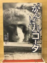 がんばれコータ : ニホンザルと生きた10、000日