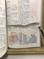 新総括　地理