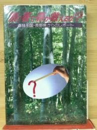 割り箸で森が救えるか? : 森林王国・長野県からのレポート