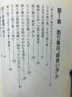 割り箸で森が救えるか? : 森林王国・長野県からのレポート