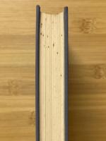 日本考古学の視点