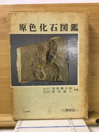原色化石図鑑
