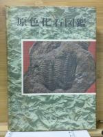 原色化石図鑑