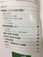 微小藻の世界 珪藻の世界 : ミクロの宝石 : 観察と分類