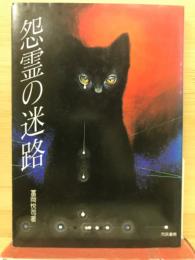 怨霊の迷路