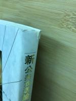 新公共放送論