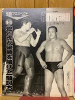 週刊ビッグレスラー 1985年9月号