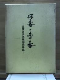 琿春の青春 : 滋賀県満洲報国農場誌