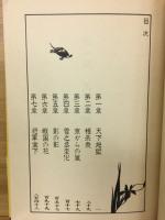 柳生一族の陰謀