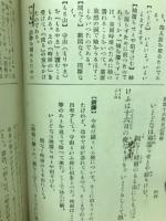 新釈十六夜日記精解　