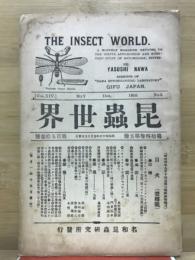 昆蟲世界
