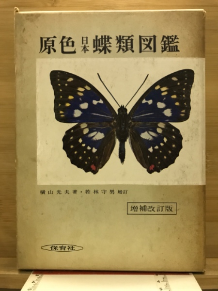 原色日本蝶類図鑑(横山光夫 著) / 古本、中古本、古書籍の通販は「日本