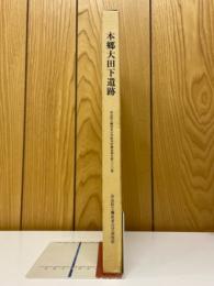 本郷大田下遺跡 : 縄文時代貯蔵穴群の調査