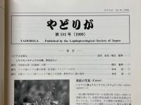 やどりが