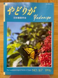 やどりが