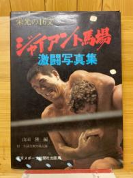 ジャイアント馬場激闘写真集 : 栄光の16文
