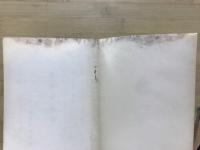 合掌の研究