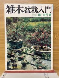 雑木盆栽入門