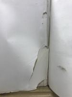 満洲の森林