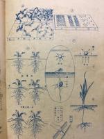 家庭と農園　1946年11・12月号
