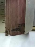 檢案鑑定診斷書例
