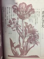 別冊幻影城　1975年11月号