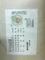 翼なき操縦士