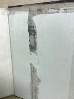 日本佛教絵画史 第１〜３篇 飛鳥篇／奈良朝前期篇／奈良朝本期篇（３冊）
